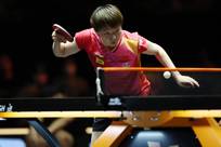 广州队本赛 广州队本赛