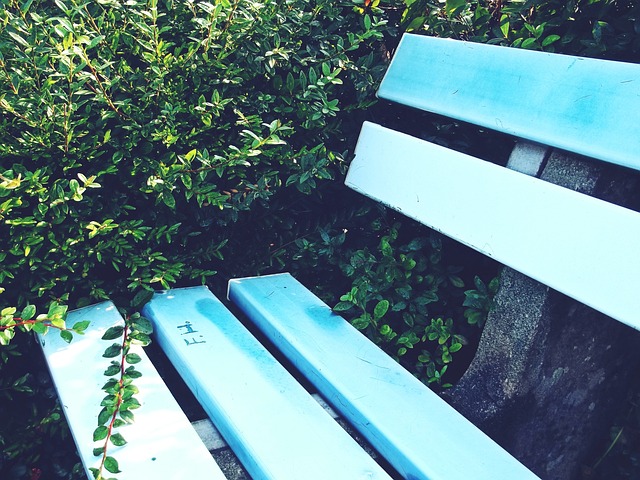 他的这番言 他的这番言