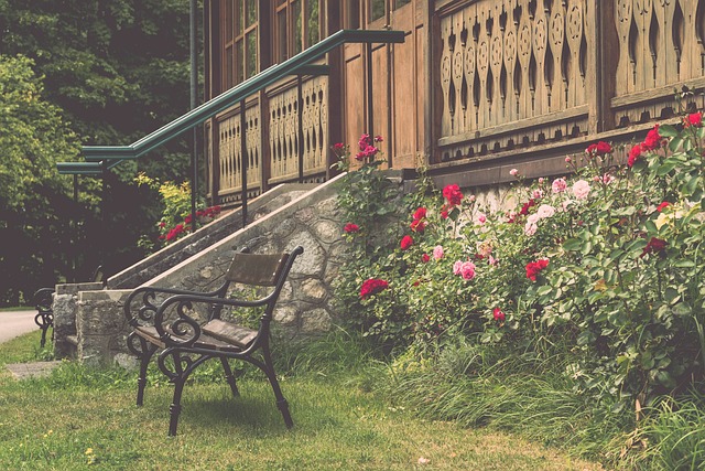 谢苏表示不 谢苏表示不